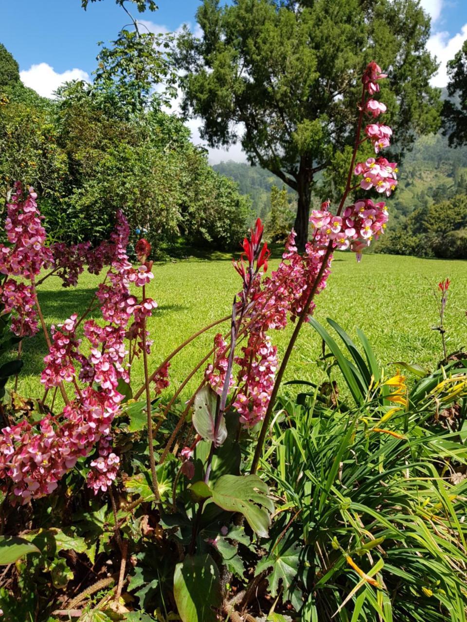 Silver Hill Select Spa Spring Ngoại thất bức ảnh